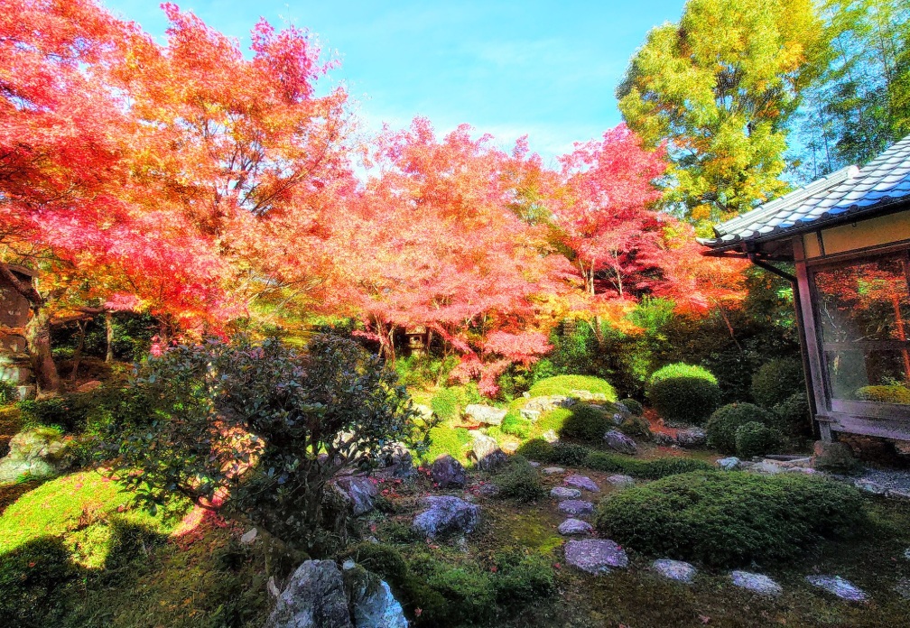 源光庵　鶴亀の庭